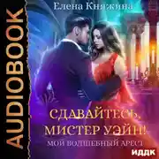 Постер книги Сдавайтесь, мистер Уэйн! или Мой волшебный арест