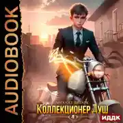 Постер книги Коллекционер душ. Книга 4