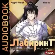 Постер книги Я покорю Лабиринт с помощью техник массажа. Книга 7