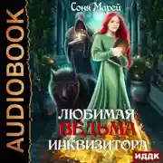 Постер книги Любимая ведьма инквизитора