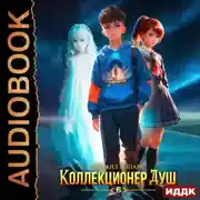 Постер книги Коллекционер душ. Книга 6. Финал