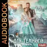 Постер книги Снегурочка для Темного