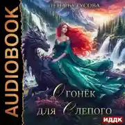 Постер книги Облачная Академия. Книга 2. Огонёк для слепого