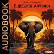 Постер книги В дебрях Африки
