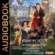 Постер книги Университет Специальных Чар. Книга 3. Маэстрине некогда скучать