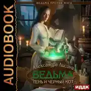 Постер книги Ведьма против мага. Книга 1. Ведьма, тень и черный кот