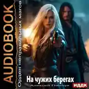 Постер книги Орден неправильных магов. Книга 1. На чужих берегах