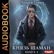 Постер книги Князь шаман. Книга 4