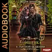 Постер книги Нищенка в элитной академии