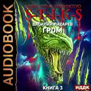 Постер книги S-T-I-K-S. Гром. Книга 3
