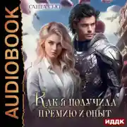 Постер книги Как я получила премию и опыт. Серия 2