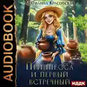 Постер книги Принцесса и первый встречный
