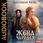Постер книги Жена чародея. Книга 2. Град Серебряный