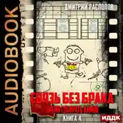 Постер книги Связь без брака. Книга 4. Время собирать камни