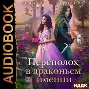 Постер книги Переполох в Драконьем имении