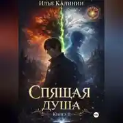 Постер книги Спящая душа. Книга II