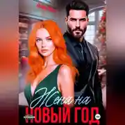 Постер книги Жена на Новый год