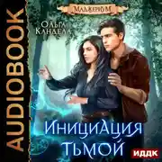 Постер книги Маджериум. Книга 2. Инициация тьмой