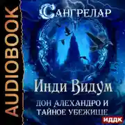 Постер книги Дон Алехандро и Тайное Убежище