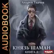 Постер книги Князь шаман. Книга 5
