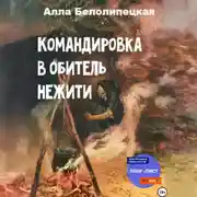 Постер книги Командировка в обитель нежити