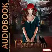 Постер книги Тринадцатая ведьма