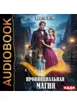 Нинель Нуар - Магия большого города. Книга 4. Провинциальная магия