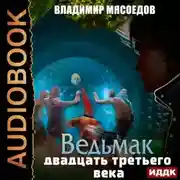 Постер книги Ведьмак двадцать третьего века