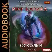 Постер книги Осколки