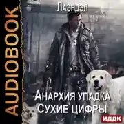 Постер книги Сухие цифры