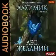 Постер книги Алхимик. Лес желаний