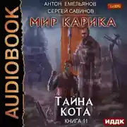 Постер книги Тайна Кота