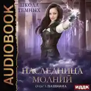 Постер книги Школа темных. Наследница молний