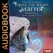 Постер книги Тайна зимней ночи