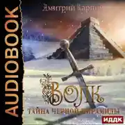 Постер книги Тайна Черной пирамиды