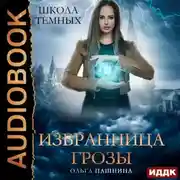 Постер книги Школа темных. Избранница грозы