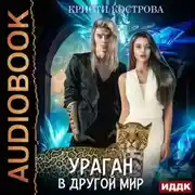 Постер книги Ураган в другой мир