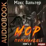 Постер книги МОР 3 Попаданец