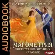 Постер книги Магометрия. Книга 1. Институт благородных чародеек