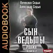 Постер книги Ронин