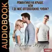 Постер книги Романтика на крыше, или Где моё оптоволокно, чувак?