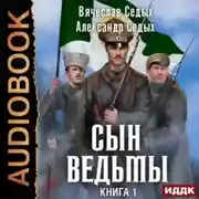 Постер книги Сын ведьмы