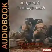 Постер книги Дешевая пехота