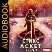 Постер книги Аскет. Стикс