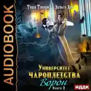 Постер книги Ворон
