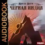 Постер книги Черная Индия