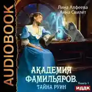 Постер книги Академия фамильяров. Тайна руин