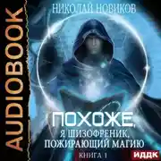 Постер книги Похоже, я шизофреник, пожирающий магию. Книга 1