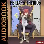 Постер книги Рыцарь трущоб