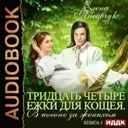 Постер книги Тридцать четыре Ёжки для Кощея. В погоне за женихом. Книга третья